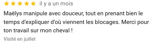 commentaire 1 : Maëlys manipule avec douceur, tout en prenant bien le temps d’expliquer d’où viennent les blocages. Merci pour ton travail sur mon cheval !