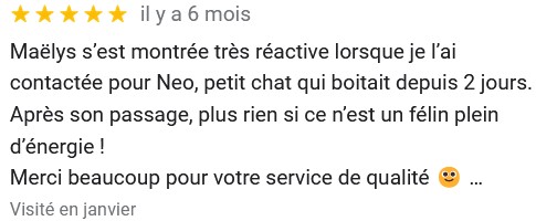 comentaire 2 : Maëlys s’est montrée très réactive lorsque je l’ai contactée pour Neo, petit chat qui boitait depuis 2 jours. Après son passage, plus rien si ce n’est un félin plein d’énergie ! Merci beaucoup pour votre service de qualité